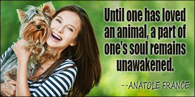 Animals quote