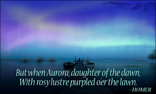 Catching the light - Aurora Borealis -Better Moments