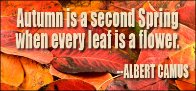 autumn quotes fall
