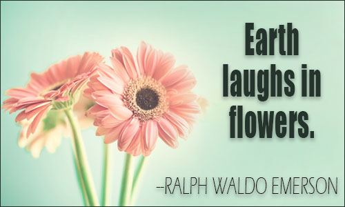 Flowers quote