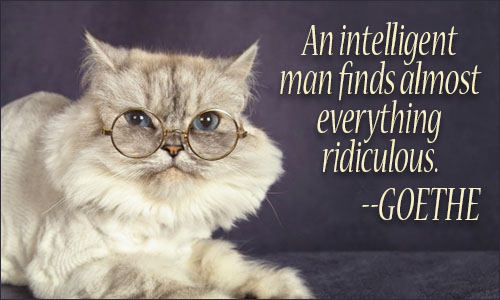 Intelligence quote