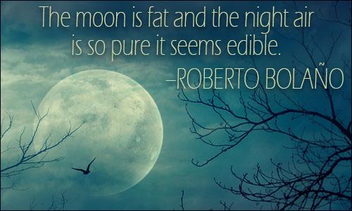 moon quotes and sayings