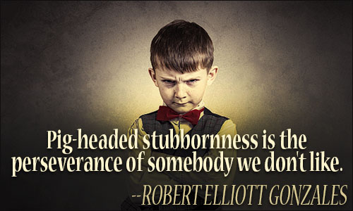 The Importance of Being Stubborn